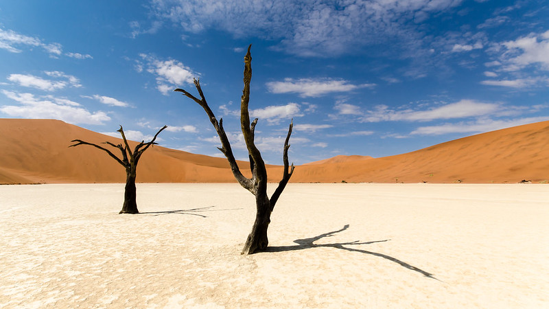 Planning A Trip To Visit Deadvlei In Namibia