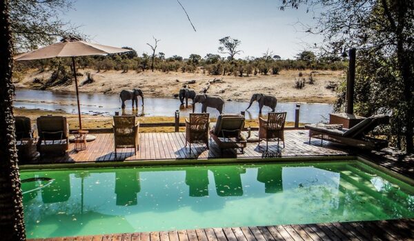 Top 10 Best Luxury Botswana Safari Lodges & Camps