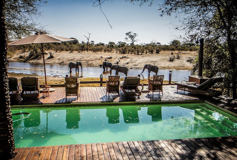 Top 10 Best Luxury Botswana Safari Lodges & Camps