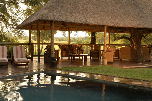 Top 10 Best Sabi Sands Lodges & Camps