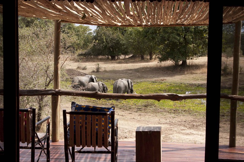 Top 10 Best South Luangwa Luxury Safari Lodges & Camps