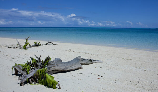 Top 10 Places To Visit Along The Tanzania Coast