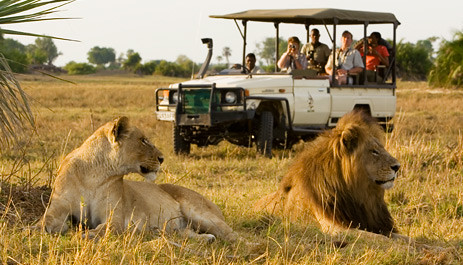 What Makes Great Safari Guides And Why Are They Important