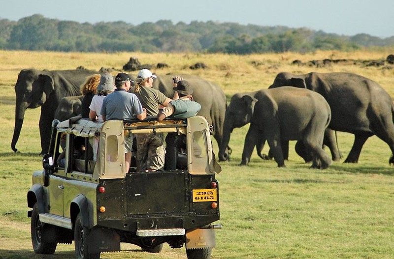 5 Best Family-friendly Safaris In South Africa