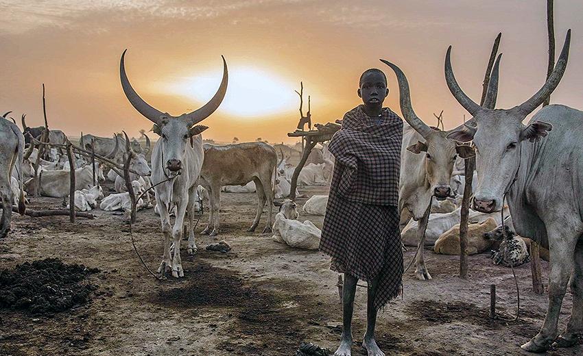 10 Days Uganda South Sudan Tour