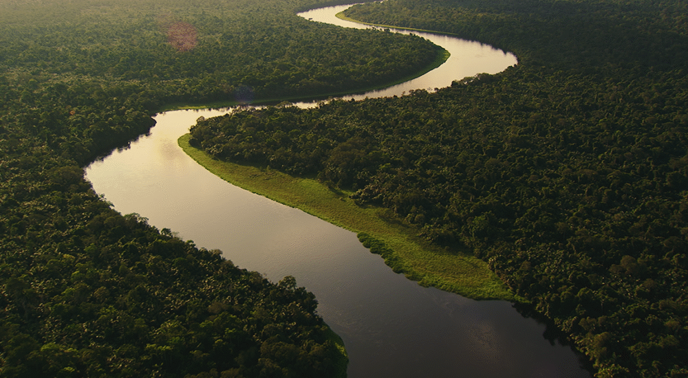 DR Congo Tours