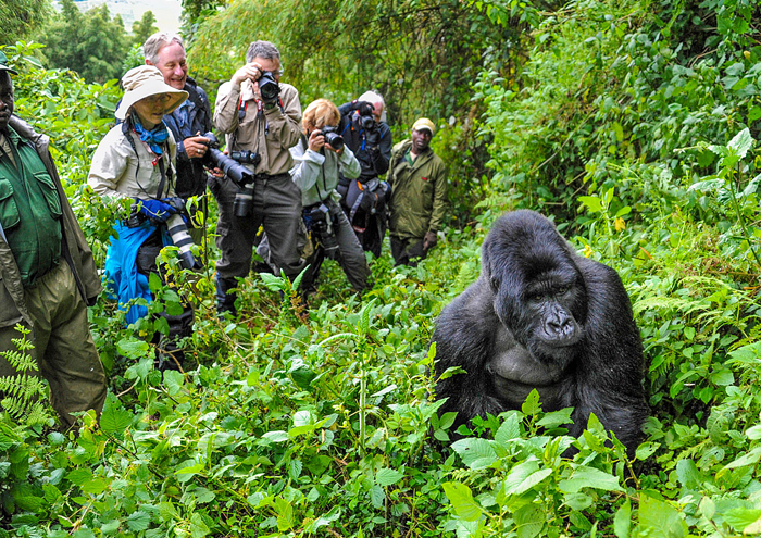 Is Uganda Safe To Visit In 2025?