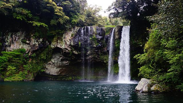 Isumo Trail In Nyungwe Forest National Park