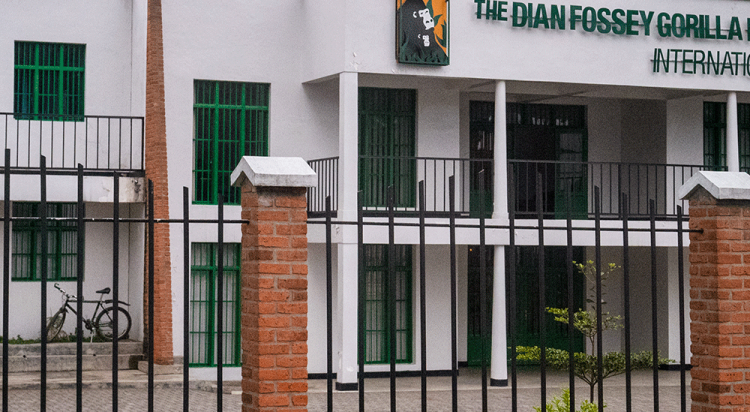 Karisoke Research Center: Rwanda Gorilla Safaris