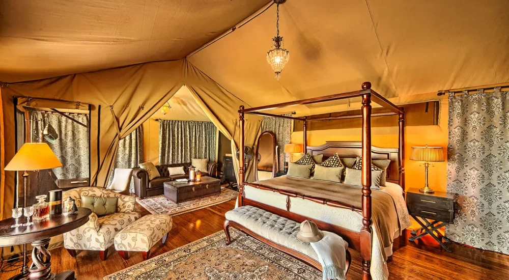 Masai Mara Luxury Safari
