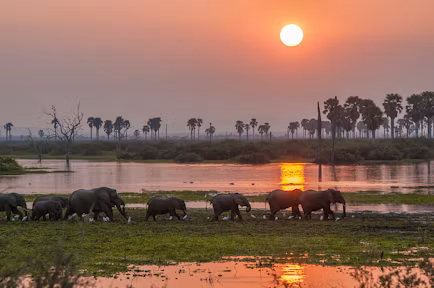 Selous Game Reserve