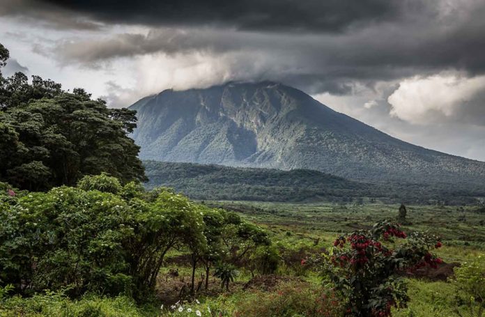 Virunga National Park Congo