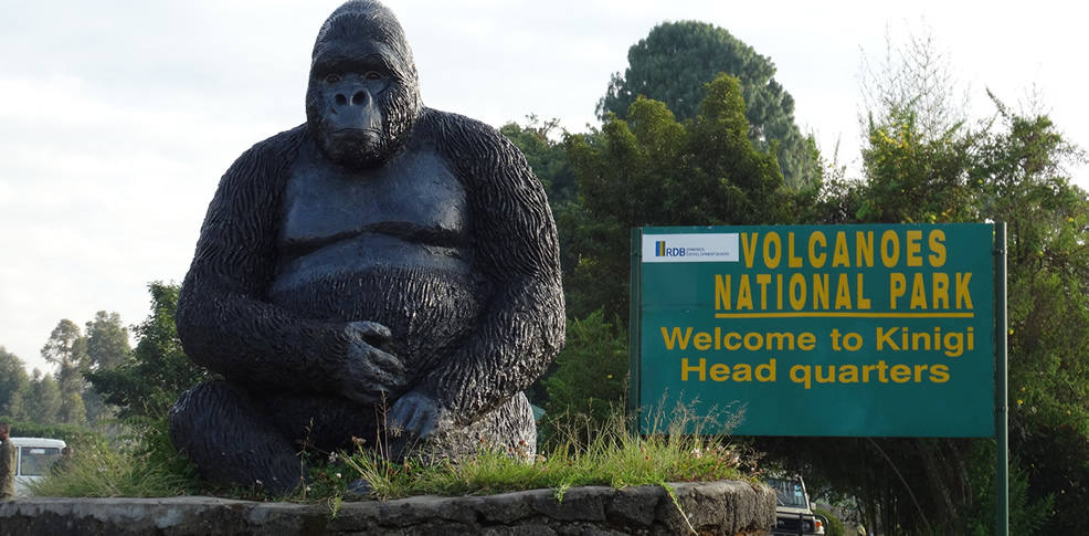 Volcanoes National Park Rwanda