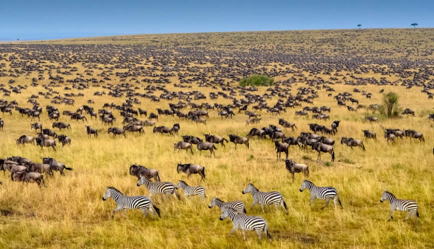 Wie Man Eine Unvergessliche Selbstfahrer-Safari Mit Mietwagen In Kenias Masai Mara Plant